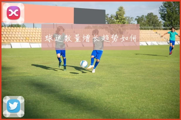 球迷数量增长趋势如何